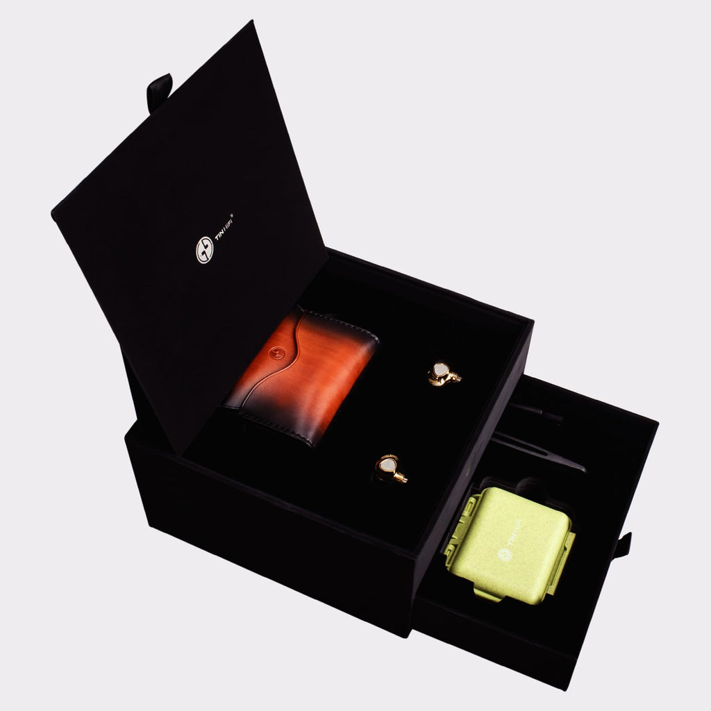 P2 Ultra Planar Magnetic In-Ear Monitors with Modular Cable