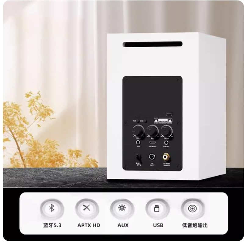 Hi-Fi 2.0 Bookshelf Speakers for Desktop & TV Audio