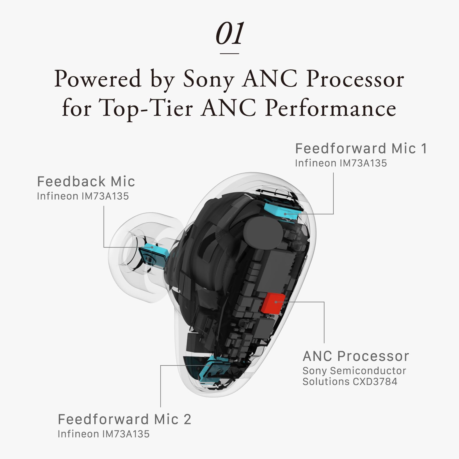 Wireless Earbuds with Personalized Sound & Natural ANC