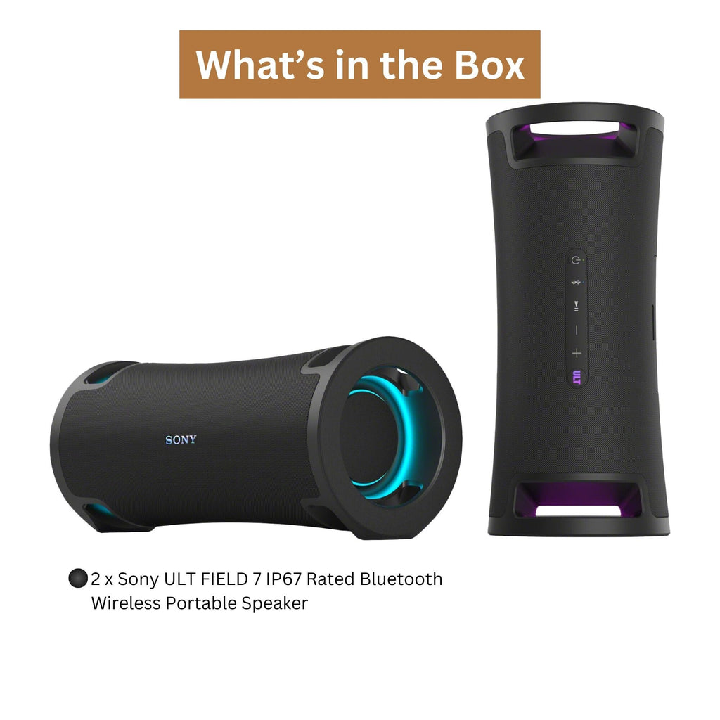 Wireless Portable Speaker Pair with Bluetooth & Expressive Lighting