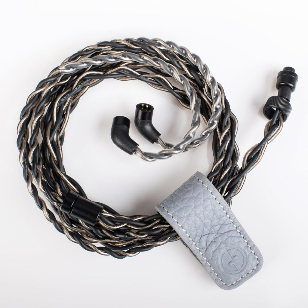 P2 Ultra Planar Magnetic In-Ear Monitors with Modular Cable