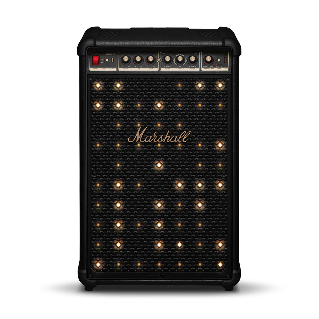 Portable Wireless Party Speaker with Bluetooth & LED Lights
